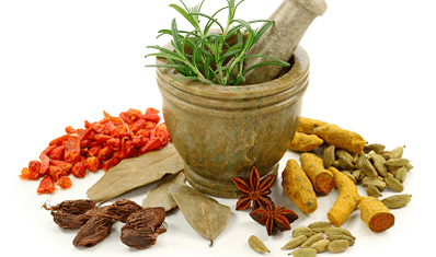 Méthodes de traitement des parasites dans le corps