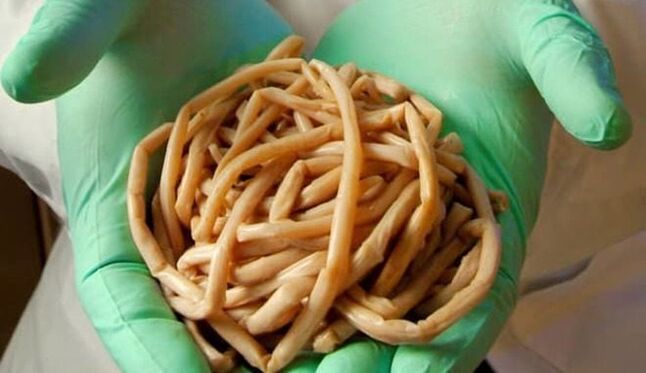 Élimination des parasites du corps