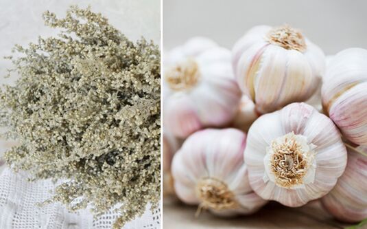 Absinthe et ail pour nettoyer le corps des parasites