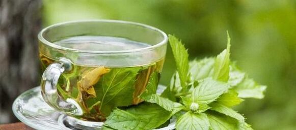 Décoction d'ortie contre les parasites